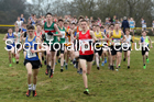 Boys under-15s Northern Cross Country Champs., Camp Hill Estate, Kirklington.  Photo: David T. Hewitson/Sports for All Pics